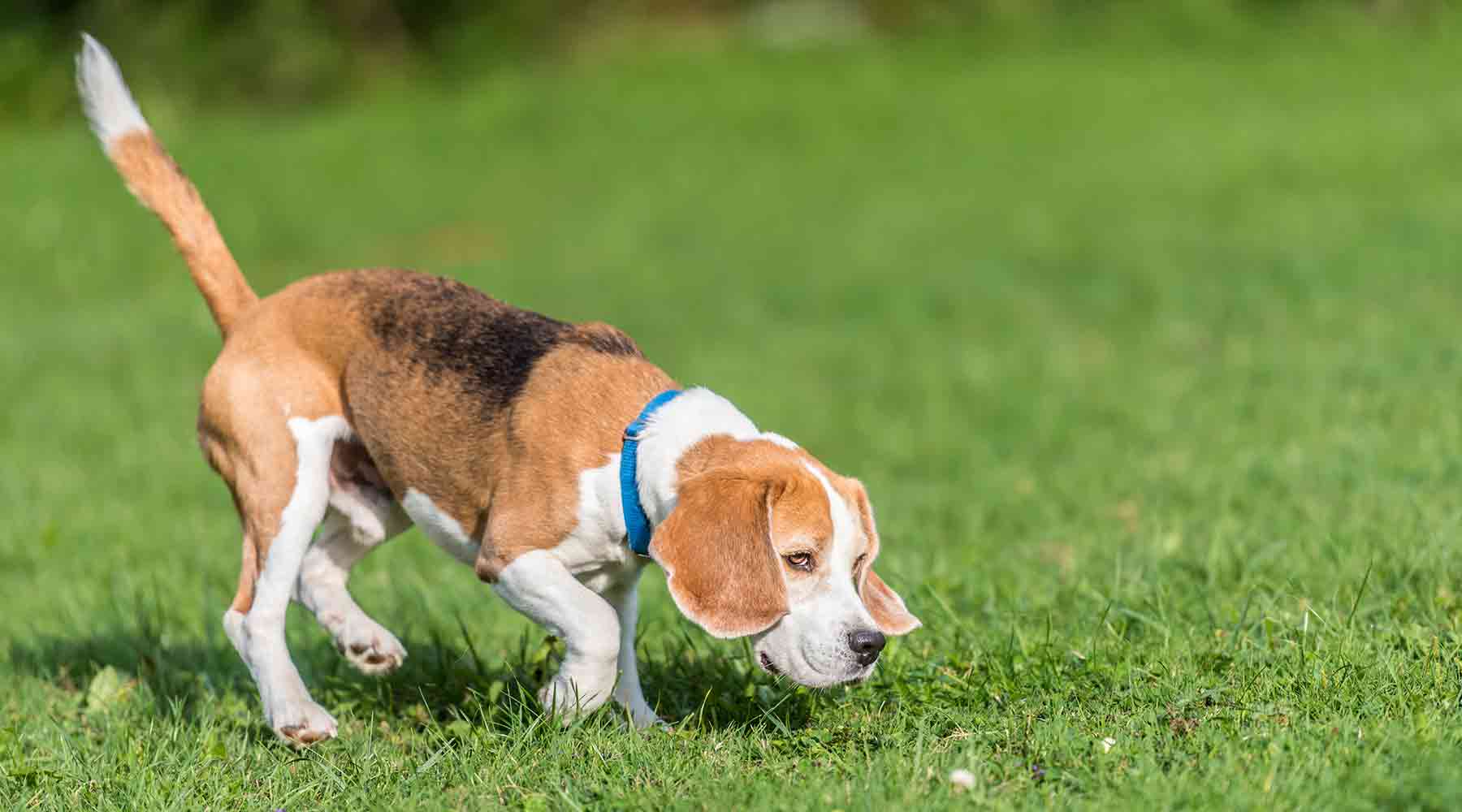 What is that smell? l Nature's Embrace Latex Mattresses