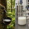 Natural Latex vs. Synthetic Latex: Why Material Matters as Much as Process