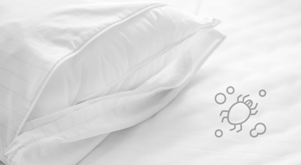 Prevent Dust Mites From Getting Into Your Mattress Nature's Embrace