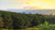 Forest View