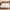 2" Natural Talalay Latex Mattress Topper on Bed 