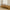 Coir Bunkie Board on Bed frame