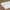 Contour Organic Latex Pillow