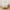 Cotton Futon Mattress 