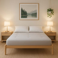 Latex Futon Mattress in Bedroom