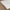 Organic Latex Pillow Combo Pack - Standard & Shredded