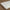 Standard Organic Latex Pillow