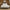12" Pocket Coil Hybrid Latex Mattress